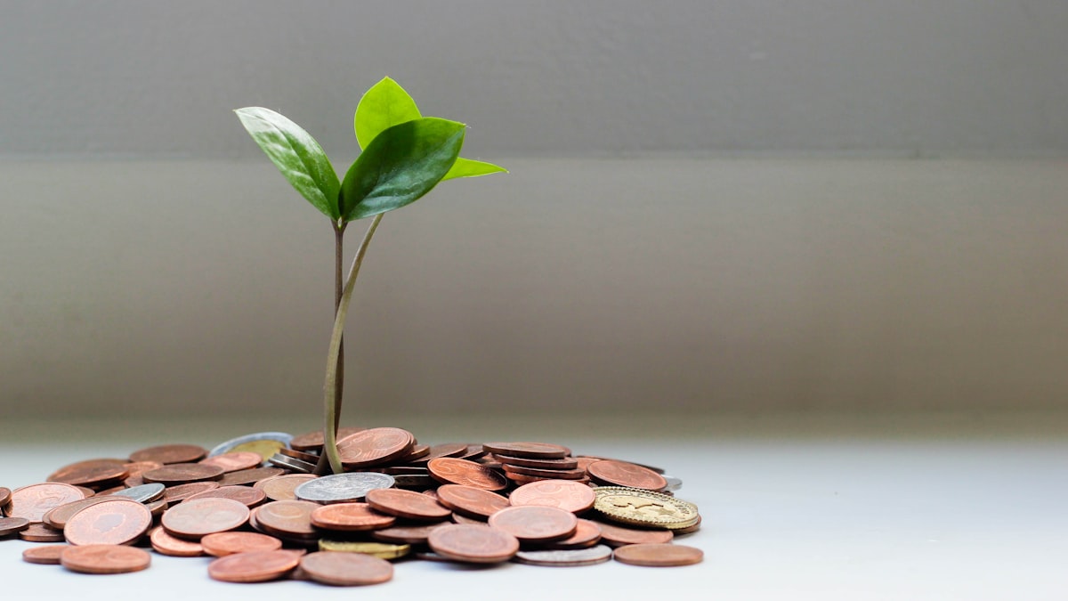 Young plant growing from a stack of savings coins